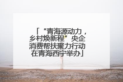 “青海源动力，乡村焕新程”央企消费帮扶聚力行动在青海西宁举办
