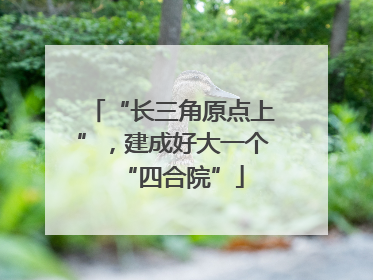 “长三角原点上”，建成好大一个“四合院”