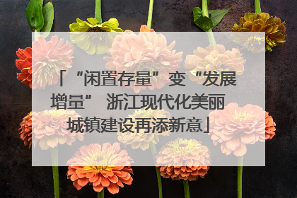 “闲置存量”变“发展增量” 浙江现代化美丽城镇建设再添新意