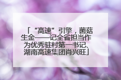 “高速”引擎，菌菇生金——记全省担当作为优秀驻村第一书记、湖南高速集团肖兴旺