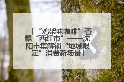 “鸡架味咖啡”香飘“西红市”——沈阳市集解锁“地域限定”消费新场景