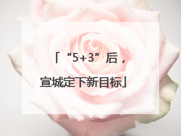 “5+3”后，宣城定下新目标