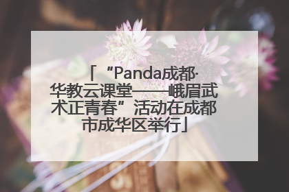 “Panda成都·华教云课堂——峨眉武术正青春”活动在成都市成华区举行