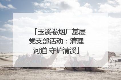 玉溪卷烟厂基层党支部活动：清理河道 守护清溪