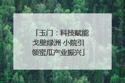 玉门：科技赋能戈壁绿洲 小院引领蜜瓜产业振兴