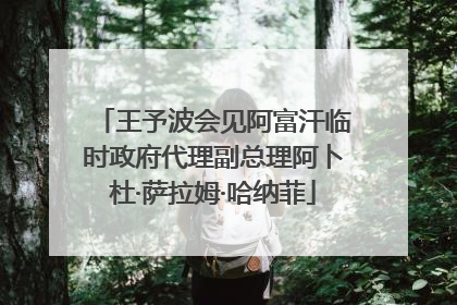 王予波会见阿富汗临时政府代理副总理阿卜杜·萨拉姆·哈纳菲
