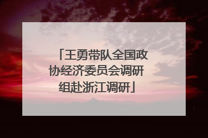 王勇带队全国政协经济委员会调研组赴浙江调研