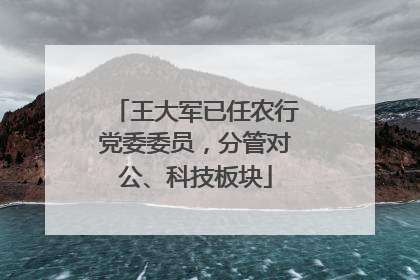 王大军已任农行党委委员，分管对公、科技板块