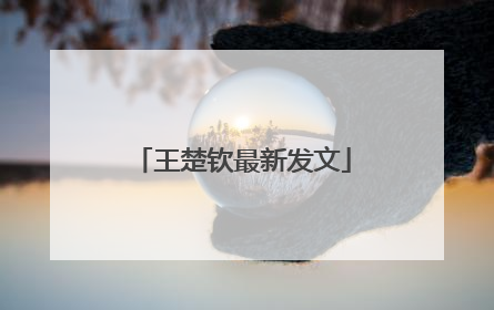 王楚钦最新发文