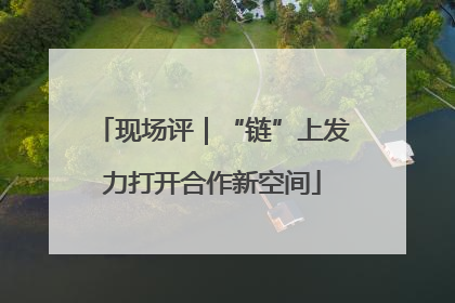 现场评｜“链”上发力打开合作新空间