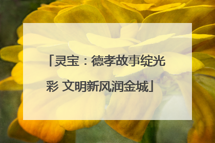 灵宝：德孝故事绽光彩 文明新风润金城