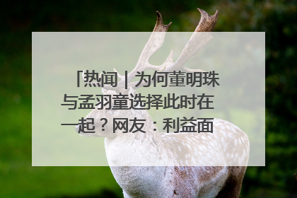 热闻｜为何董明珠与孟羽童选择此时在一起？网友：利益面前啥都能和解