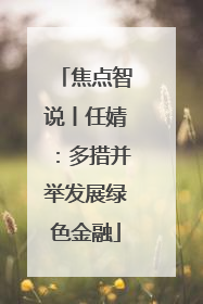 焦点智说丨任婧：多措并举发展绿色金融