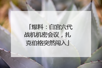 爆料：白宫六代战机机密会议，扎克伯格突然闯入