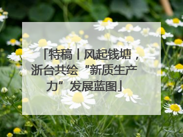 特稿丨风起钱塘，浙台共绘“新质生产力”发展蓝图
