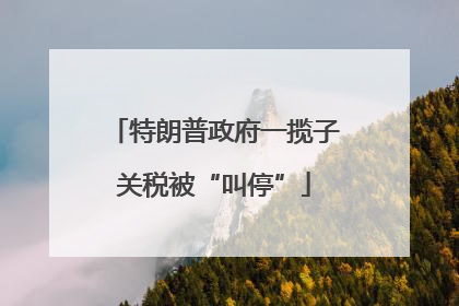 特朗普政府一揽子关税被“叫停”