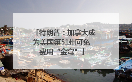 特朗普：加拿大成为美国第51州可免费用“金穹”