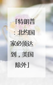 特朗普：北约国家必须达到，美国除外