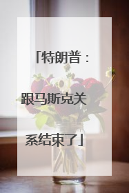 特朗普：跟马斯克关系结束了
