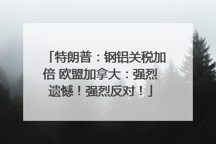 特朗普：钢铝关税加倍 欧盟加拿大：强烈遗憾！强烈反对！