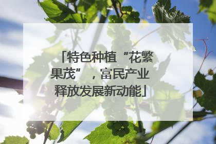 特色种植“花繁果茂”，富民产业释放发展新动能