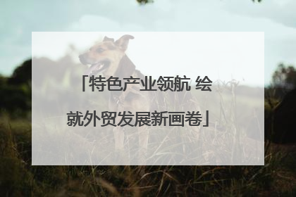特色产业领航 绘就外贸发展新画卷