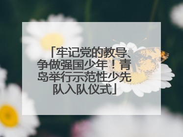 牢记党的教导、争做强国少年！青岛举行示范性少先队入队仪式