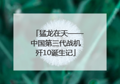 猛龙在天——中国第三代战机歼10诞生记
