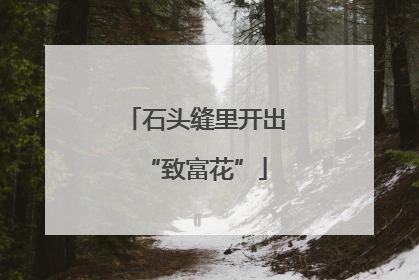 石头缝里开出“致富花”