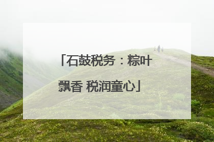石鼓税务：粽叶飘香 税润童心