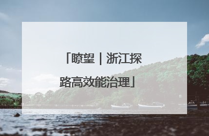 瞭望｜浙江探路高效能治理
