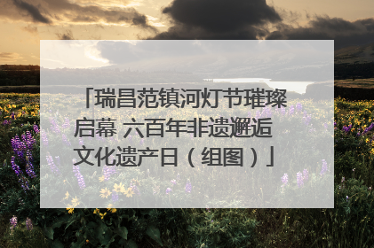 瑞昌范镇河灯节璀璨启幕 六百年非遗邂逅文化遗产日（组图）