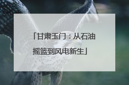 甘肃玉门：从石油摇篮到风电新生