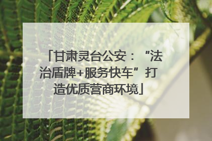 甘肃灵台公安：“法治盾牌+服务快车”打造优质营商环境