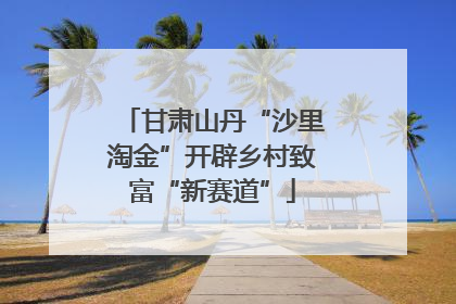 甘肃山丹“沙里淘金”开辟乡村致富“新赛道”