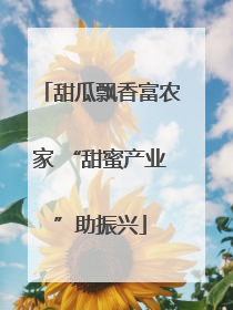 甜瓜飘香富农家 “甜蜜产业”助振兴