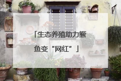 生态养殖助力鳜鱼变“网红”