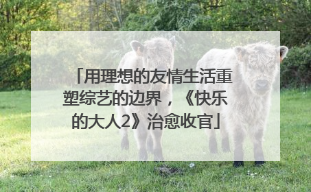 用理想的友情生活重塑综艺的边界，《快乐的大人2》治愈收官