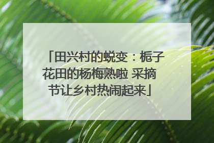 田兴村的蜕变：栀子花田的杨梅熟啦 采摘节让乡村热闹起来