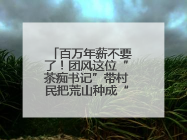 百万年薪不要了！团风这位“茶痴书记”带村民把荒山种成“绿色银行”