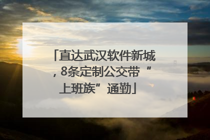 直达武汉软件新城，8条定制公交带“上班族”通勤