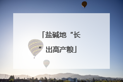 盐碱地“长”出高产粮