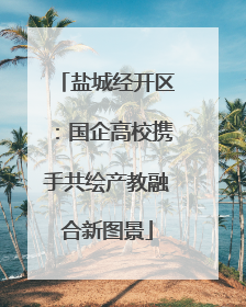 盐城经开区：国企高校携手共绘产教融合新图景