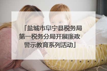 盐城市阜宁县税务局第一税务分局开展廉政警示教育系列活动