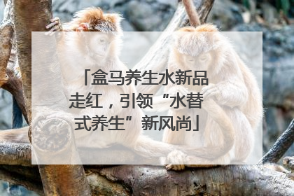 盒马养生水新品走红，引领“水替式养生”新风尚
