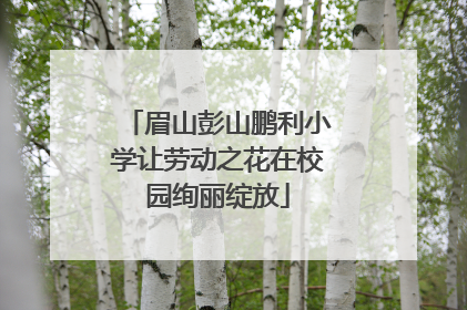 眉山彭山鹏利小学让劳动之花在校园绚丽绽放