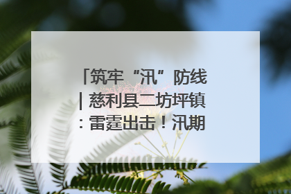 筑牢“汛”防线｜慈利县二坊坪镇：雷霆出击！汛期捕鱼被紧急叫停