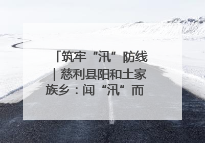 筑牢“汛”防线｜慈利县阳和土家族乡：闻“汛”而动 全员下沉筑牢防汛“安全堤”