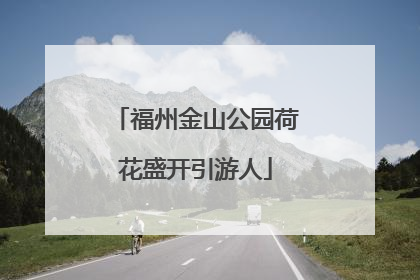 福州金山公园荷花盛开引游人