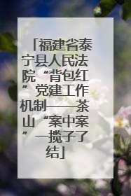 福建省泰宁县人民法院“背包红”党建工作机制——茶山“案中案”一揽子了结
